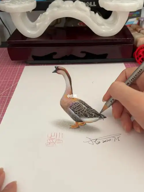彩铅3d立体画——大鹅,你的铁锅准备好了嘛?