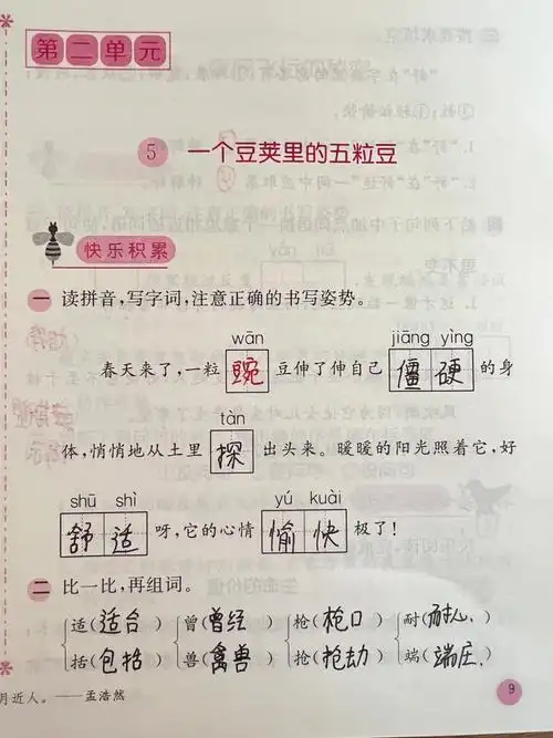 四上基础训练5一个豆荚里的五粒豆