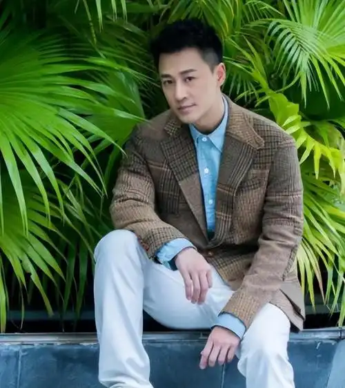 披哥2全员颜王张云龙方逸伦浓颜帅哥林峰张智霖自带苏感