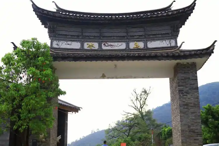 冰岛老寨极致冰糖韵