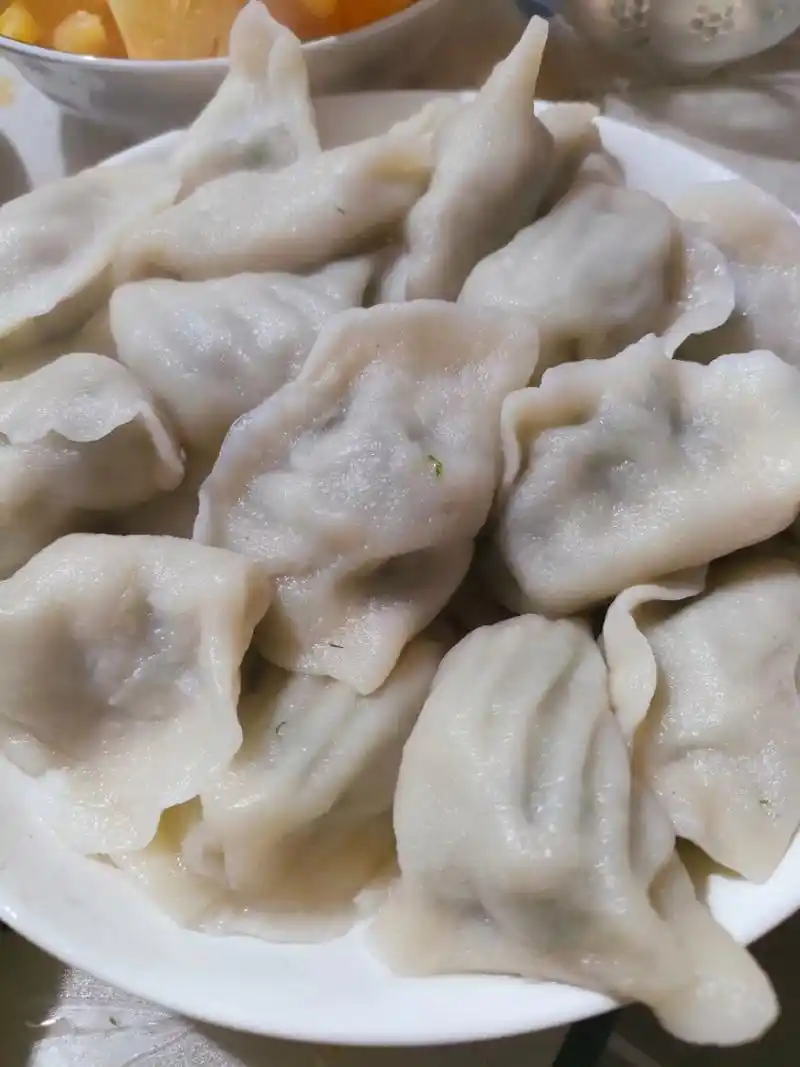 天冷乎乎的,吃个手工饺子暖暖吧[温暖] (茴香肉和韭菜鸡蛋)[悠闲]