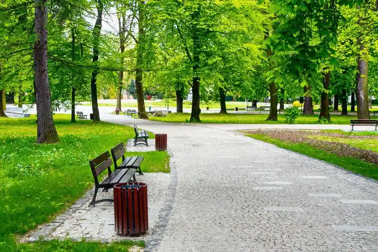 绿色城市公园宠物矢量蓝绿城市和人物原创插画海报背景素材公园卡通