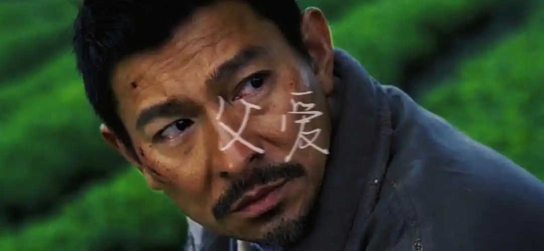 电影剪辑 #电影推荐 #失孤 华仔影帝级的出演