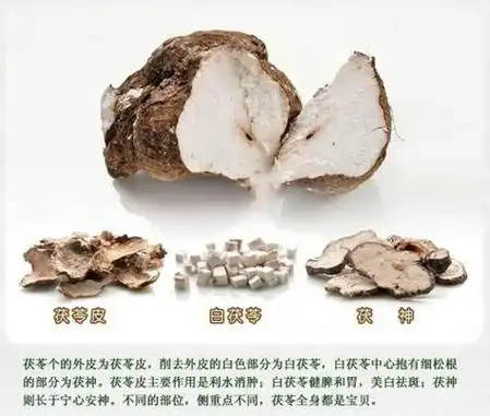 apple/化妆品套装/2024-03-13/1 阅读今天给各位分享黑色套装化妆品有