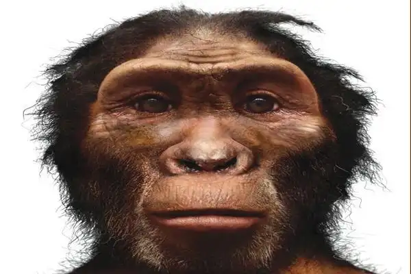 最早的人类-能人