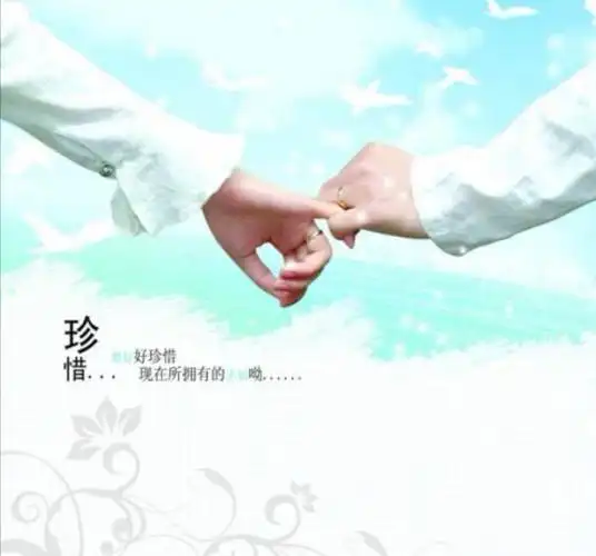 爱的旅程——相识相知相恋——步入婚姻殿堂——携手白头到老.