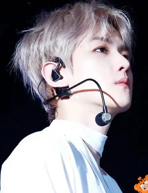 贤 喜欢上的那个人 不就是自己的理想型了吗#爱丽  #边伯贤