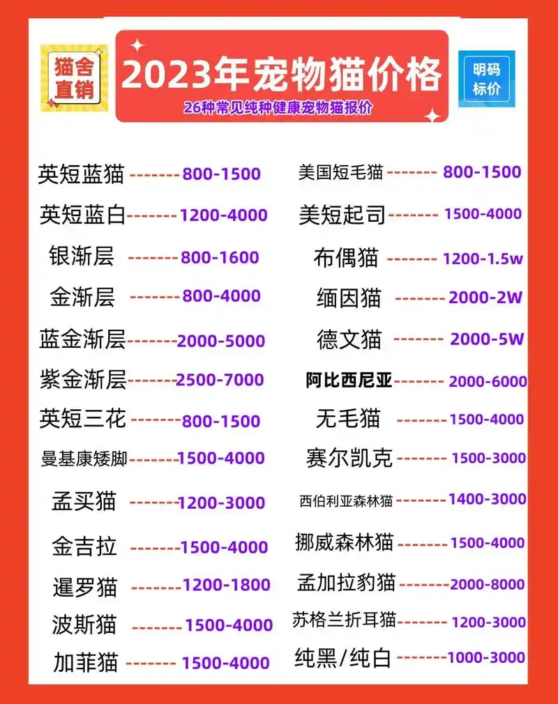 猫咪2023最新价格表一览.买猫收藏|良心猫舍|明码实价|超 - 抖音