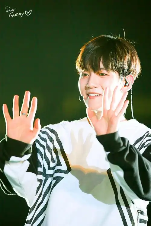 exo 边伯贤 明星 美男