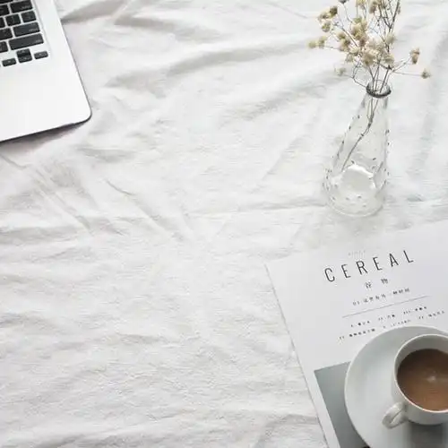 拍摄背景布白色 白棉布_极棉布ins拍照道具 白色摆拍背景布白 拍照