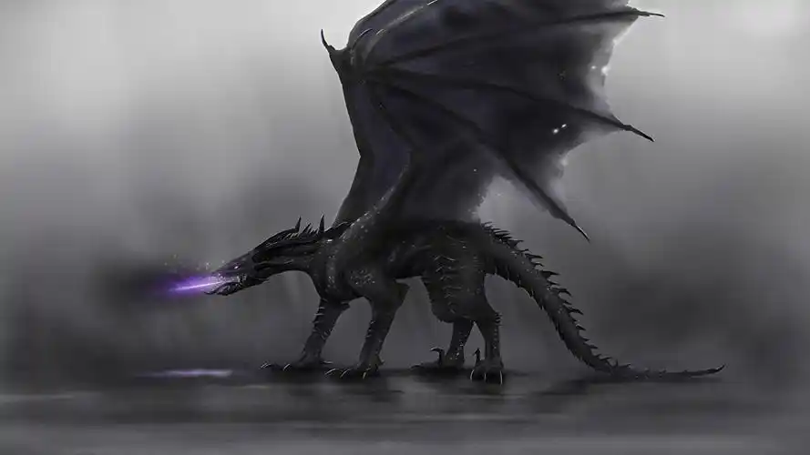 龙,翅膀,奇幻作品,照片