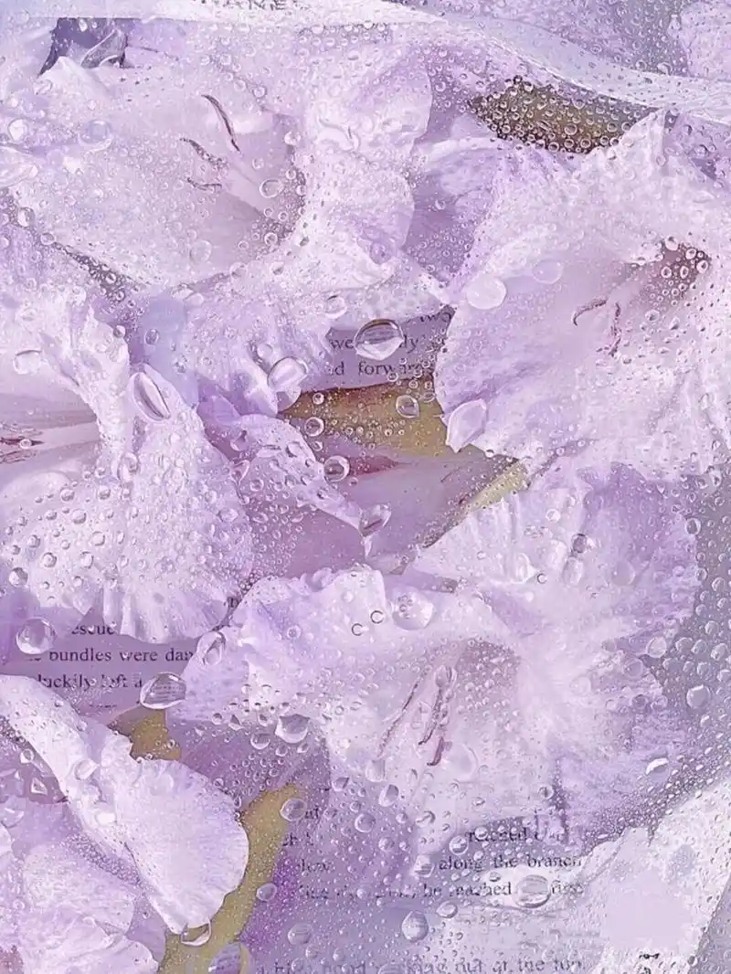 6015 apple watch表带壁纸分享!紫色迷人系列