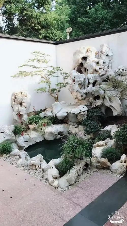 太湖石假山鱼池