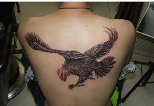 个性时尚男性背部好看的老鹰纹身图案图片