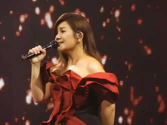 【梁静茹】2024.01.27 墨尔本演唱会 - 丝路