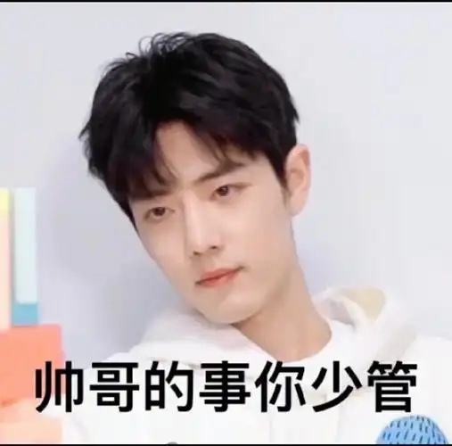 肖战表情包来咯