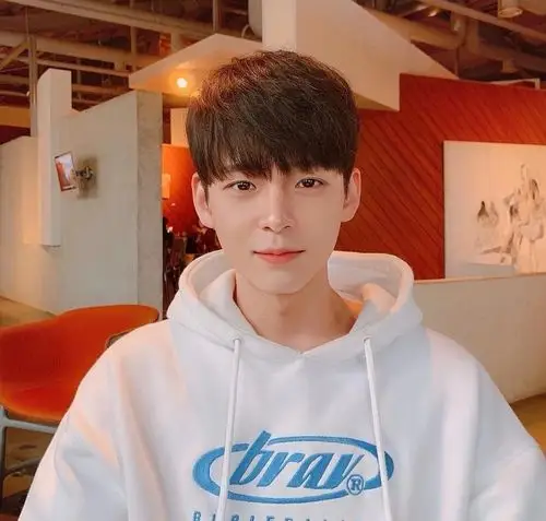 小奶狗男士发型