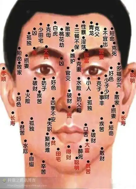 脖子上有痣代表什么