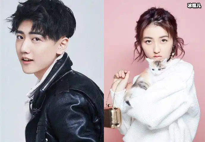 焉栩嘉张子枫合作过吗两人疑似恋爱是怎么回事