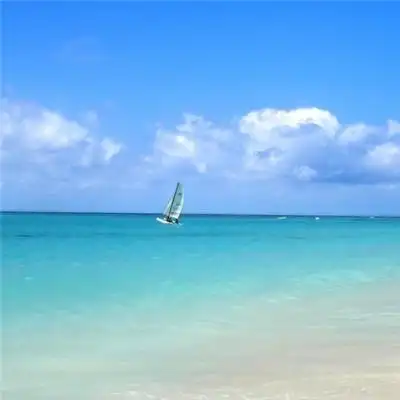 2020微信最吉利的好看头像图片 寓意好运的微信头像大全,风景头像图片