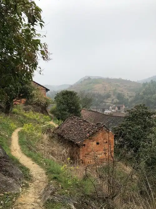 手机摄影:现代农村的更迭