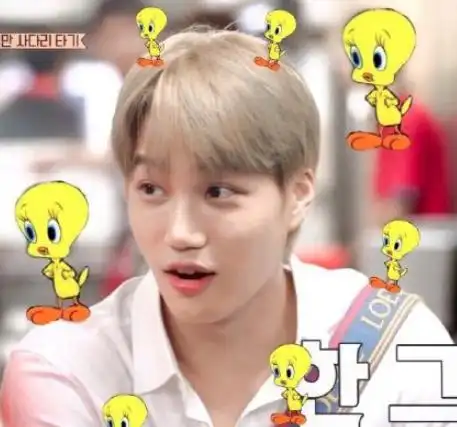 显微镜女孩爱丽观察出金钟仁的小熊内裤请给钟仁留点隐私