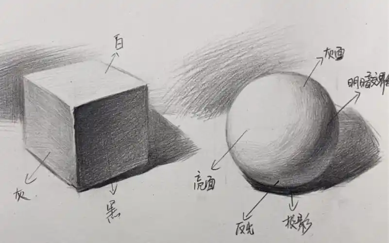 零基础学素描:什么是三大面五大调