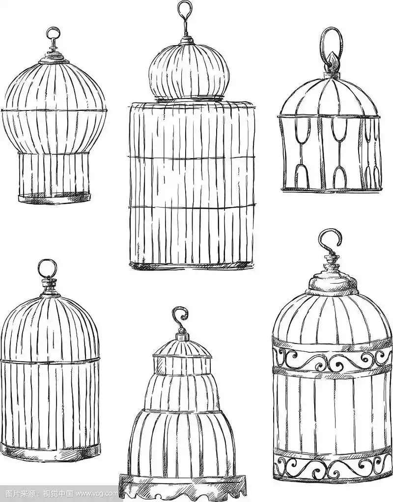 一组不同的笼子手工绘制