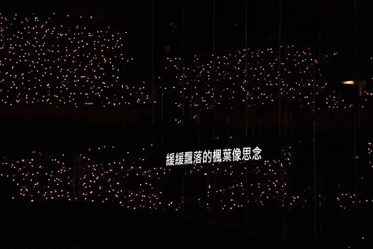 求周杰伦的枫的壁纸