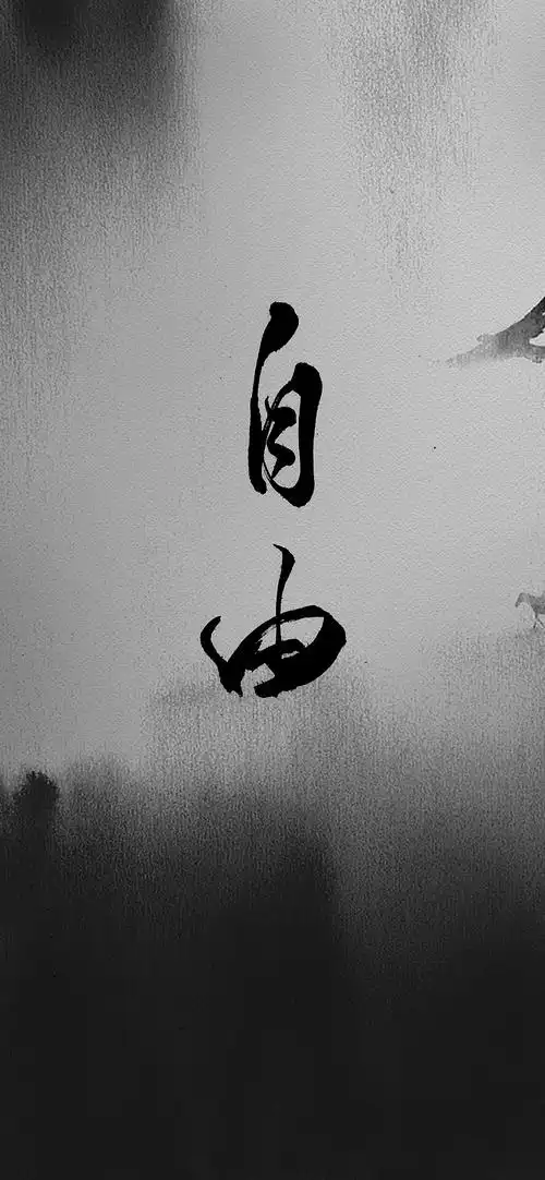 孤倚 望山深浅 窥荷灰墨与影 非黑即白世事无常 渴望自由人望山