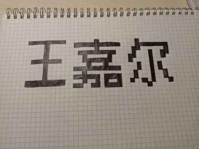 王嘉尔名字网格画