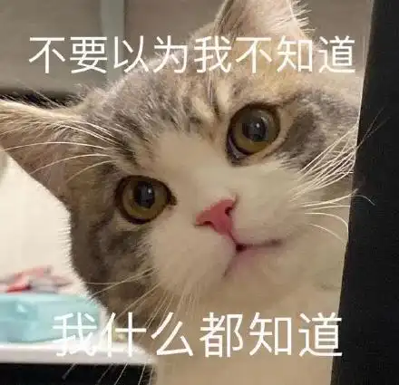 我知道我知道表情包 - 我知道我知道微信表情包 - 我知道我知道qq表情