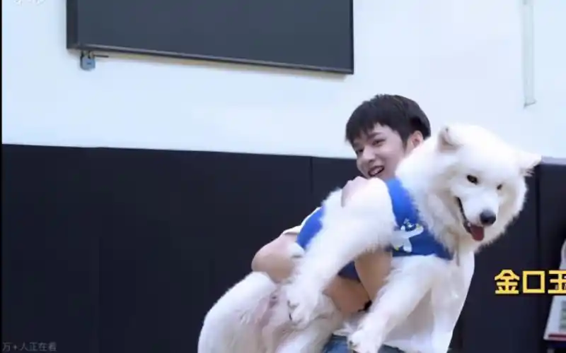 【刘耀文|土豆】"我的狗非常的帅,很聪明"