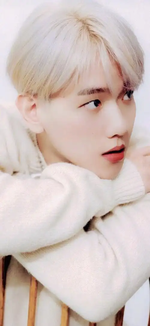 边伯贤超话@baekhyunee7210122【lovepuppy56】伯贤修图 15p 清纯小仙