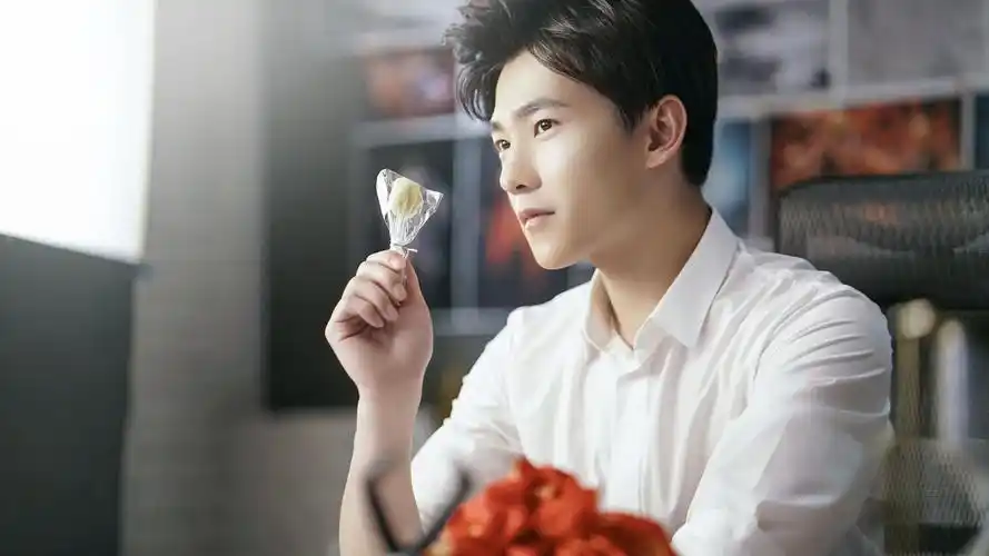 杨洋 鲜花 明星风尚壁纸