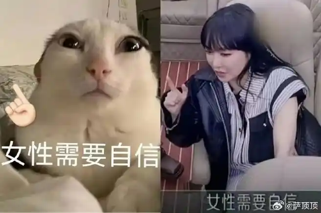 萨顶顶大眼喵星人表情包##萨顶顶8g冲浪