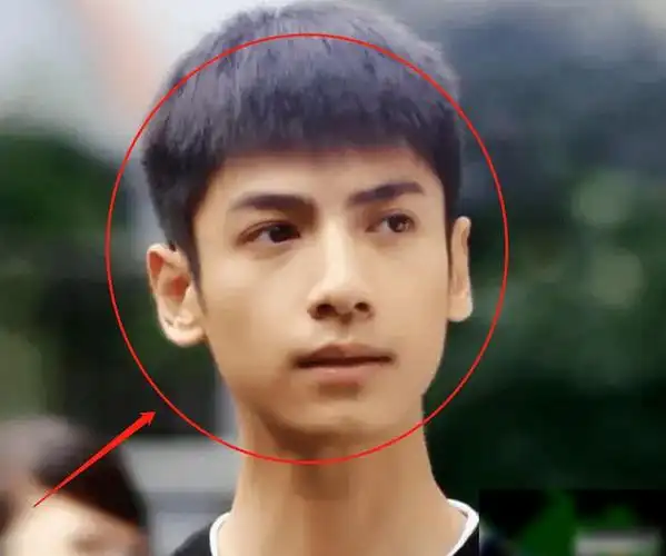 罗云熙十年前证件照曝光看清无美颜的颜值是否整容很显然