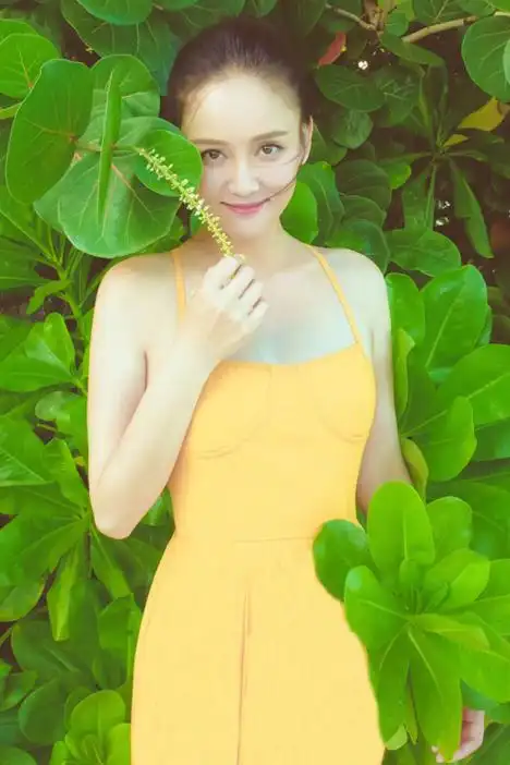 明星陈乔恩同款性感连体平角泳衣女修身显瘦小胸聚拢钢拖温泉泳衣