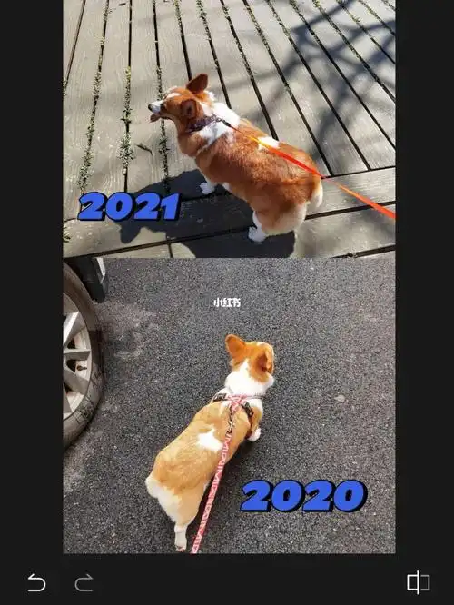 2020vs2021
