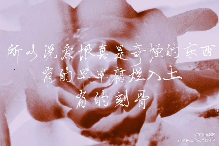 全高语录_全球高考原耽语录我要上首推字体设计指写见字如晤绘画作品