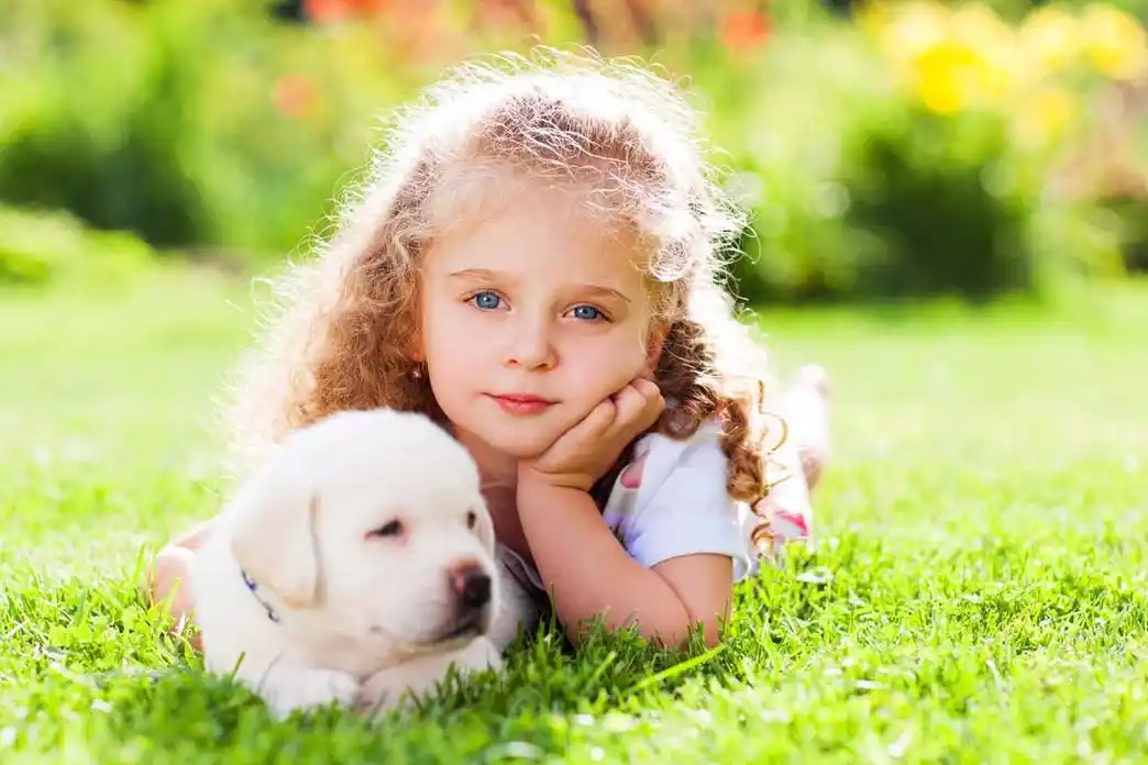 可爱的小女孩与小狗动物高清图片