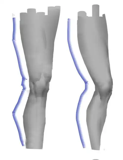 膝盖的画法基础教程