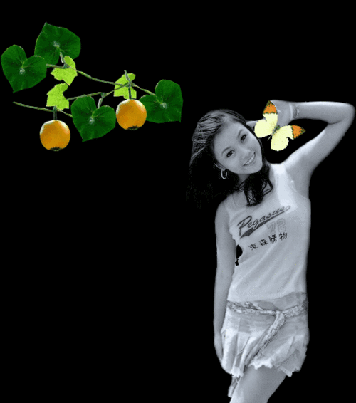 530_600gif 动态图 动图