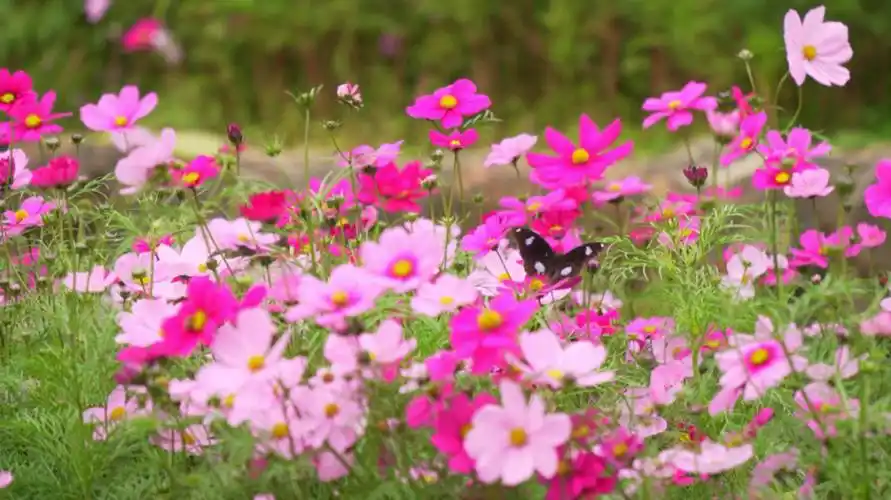 全国重点新闻网站-广西新闻门户网