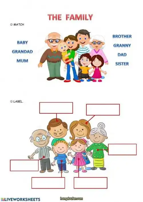 填写正确的单词认识一家人英文趣味练习题打印