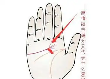 感情线末端分叉有三条代表什么