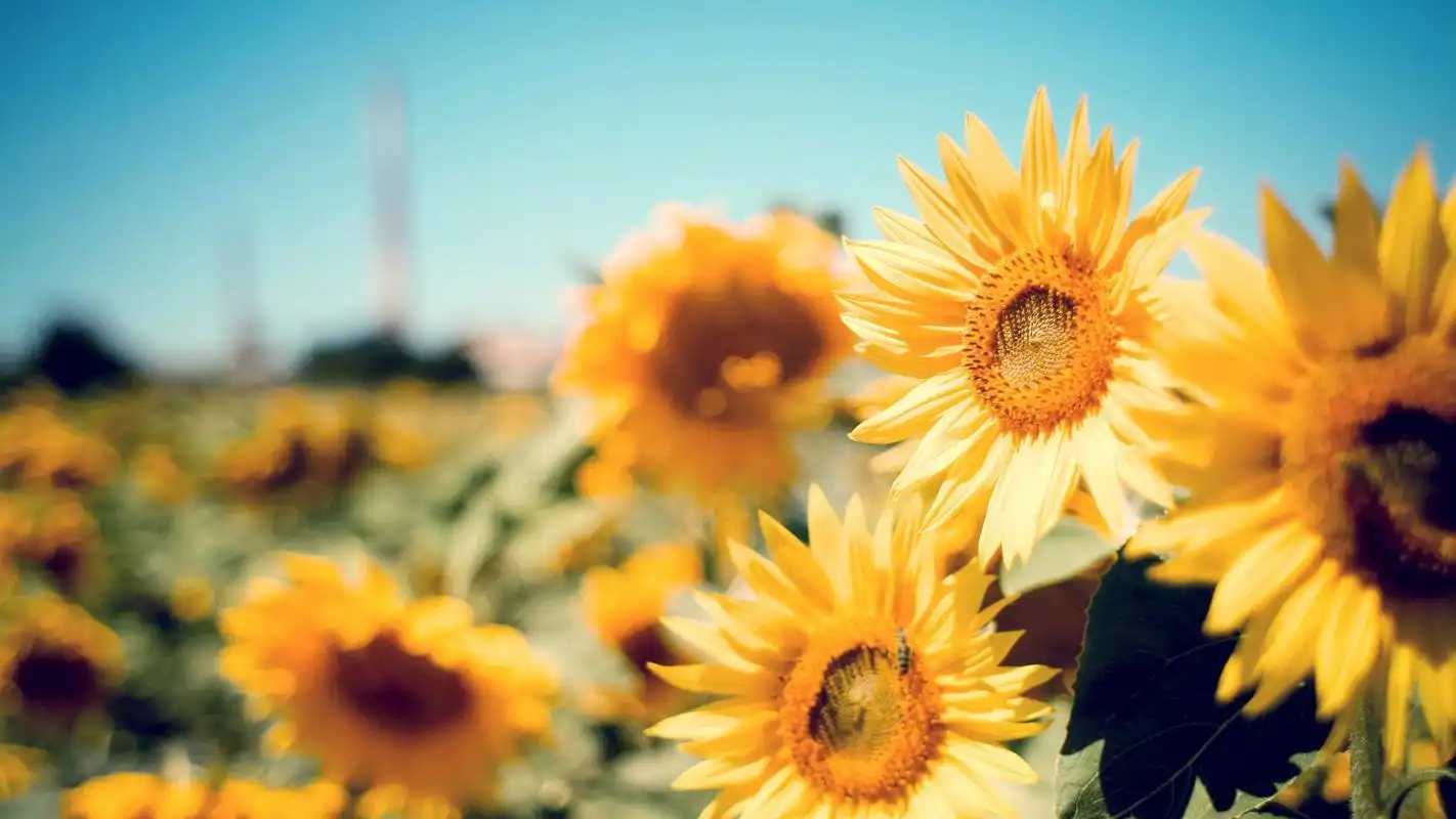 木木小某的主页 - 站酷 (zcool)