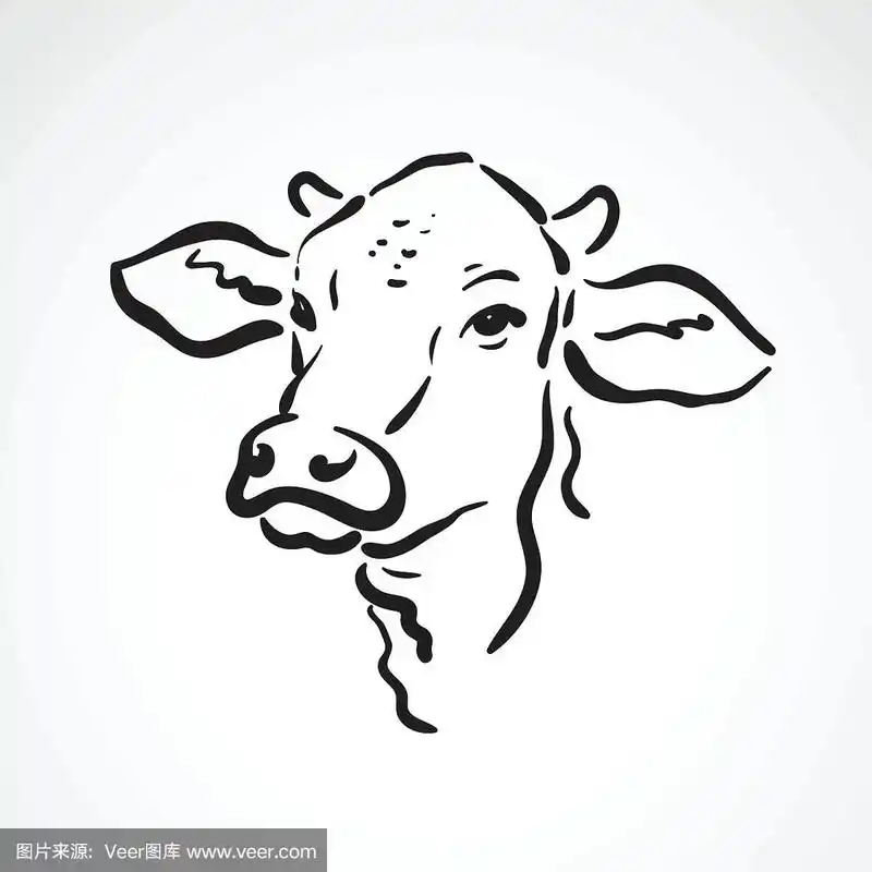 在白色背景上的牛头矢量.农场动物.