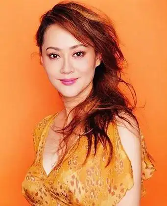 回应: (找到了!)找一位我国大陆中年女演员