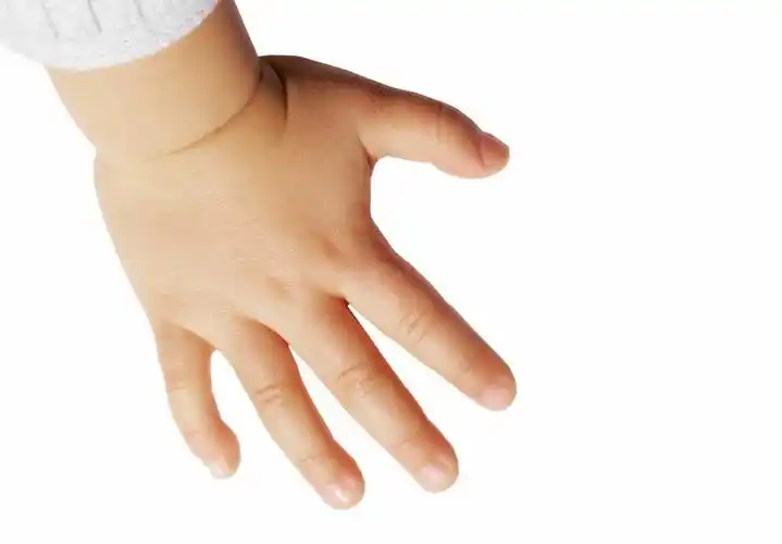 本次活动的主题是"一双手".我有一双小小手,一只左来一只右.